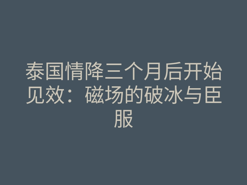 泰国情降三个月后开始见效:磁场的破冰与臣服