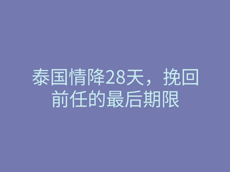 泰国情降28天，挽回前任的最后期限